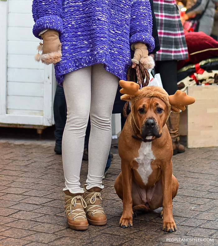 winter chic style pinterest, latest winter woman fashion look, best street style winter womens fashion looks, how to wear oversized knit jumper and Isable Marant Étoile Nowles ankle boots winter boots, Reindeer Deer Hat for Dog